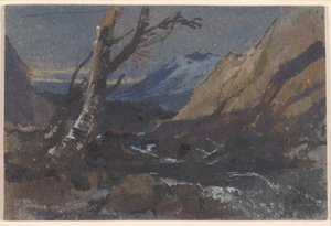 Studie af træer ved en bjergbæk af William James Muller