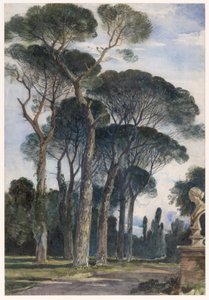 Pinje i Villa Borghese, Rom af William James Muller