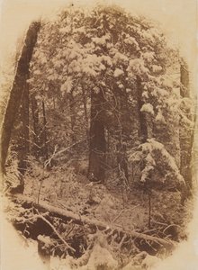 Uden titel Woods in Snow, 1859.