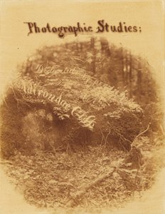Uden titel, fra porteføljen The Forest: Adirondack-skoven af William James Stillman