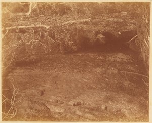 Uden titel, fra porteføljen The Forest: Adirondack-skoven af William James Stillman