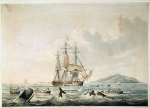 South Sea Whale Fishery, indgraveret af T. Sutherland af William John (after) Huggins