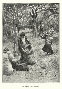 Indsamling af cideræbler (litografi) af William John Hennessy