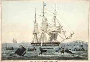 South Sea Whale Fishery, pub. 1825 (farvelitografi)