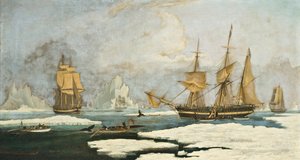 The Northern Whale Fishery: Skibet Harmony of Hull og andre isbundne hvalfangere, jagt sæler, narhvaler og hvaler på hvalfangerpladsen ved Davis Strædet ud for Grønland