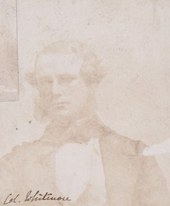 Samling af britiske kalotyper og træstik, 1850