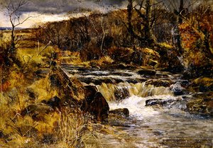 Ørredstrøm i Wales