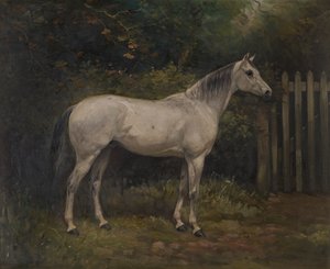 Pickles: en Basuto pony, ca. 1904 (olie på lærred) af William Josiah Redworth