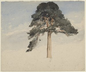 Skotsk fyrretræ af William Leighton Leitch