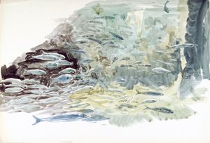 Undervandsbillede af en fiskestime af William Lionel Wyllie