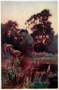 Worcester College Garden af William Matthison