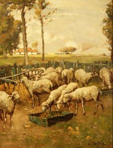 Fårefolden af William McBride