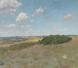 Sollys og skygge, Shinnecock Hills af William Merritt Chase