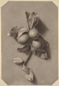  af William Michael Harnett