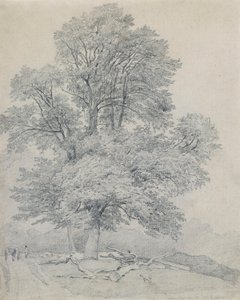  af William Mulready