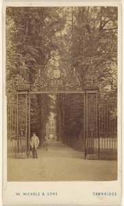 Trinity Cole Avenue af William Nichols and Sons
