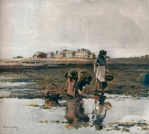 Muslingeplukning, c1908