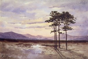 Sunset, County Sligo (akvarel på papir) af William Percy French