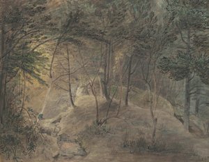 The View from the Springhouse at Echo, ca. 1808 (akvarel og blæk på vævet papir)