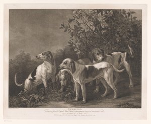 Fire jagthunde Harriers (titel på objekt) af William Satchwell Leney