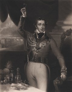 Hertugen af Wellington, 1828.