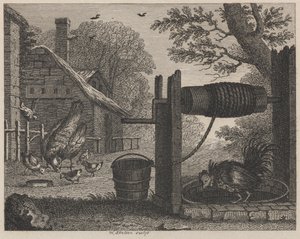 Den gamle Høne og Hanen