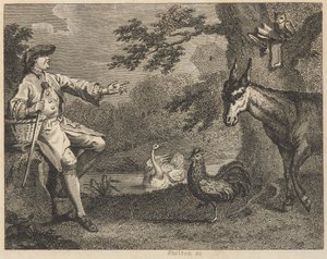 Uglen, svanen, hanen, edderkoppen, æselen og bonden