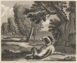 Spanielen og kamæleonen af William Skelton