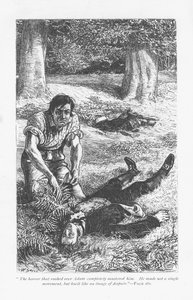 Adam Bede, efter at have overvundet Arthur Donnithorne i en kamp, er forfærdet over at se sin rival ligge bevidstløs. Adam Bede af George Eliot, udgivet første gang 1859. Illustration af William Small (1843-1929) fra en udgave udgivet c1885. af William Small