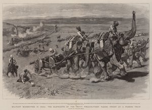 Militære manøvrer i Indien, elefanterne fra det tunge felt-batteri, der skræmmer ved et forbipasserende tog