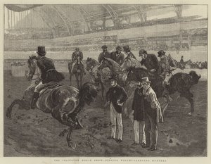 Islington Horse Show, der dømmer vægtbærende jægere