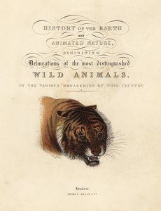 Kalligrafisk titelblad med vignet af tiger af William Smellie