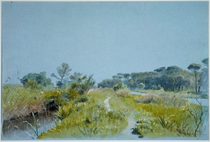  af William Stanley Haseltine