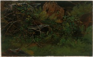  af William Stanley Haseltine