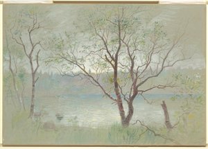 Oversøisk, Traunstein, Bayern af William Stanley Haseltine