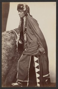 Arapaho Brave Shib-o-nester
