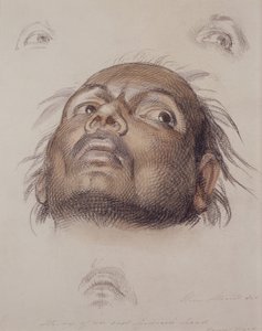 Studie af en østindians hoved, ca. 1875 (farveblyant og vask på papir) af William Strutt