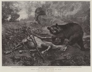 Hvilket held! eller, hvordan jeg dræbte min bjørn af William Strutt