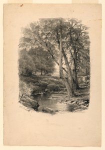 Tegning, Bassin i skoven, 1874 af William Trost Richards