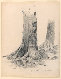 Tegning, træstammer, Darmstadt, 27. juni 1867 af William Trost Richards