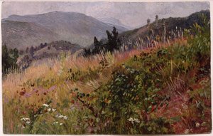 Essex County i Adirondack-bjergene af William Trost Richards