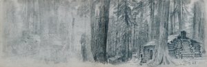 Skitsebog med landskabsmotiver fra det nordvestlige Stillehavsområde af William Trost Richards