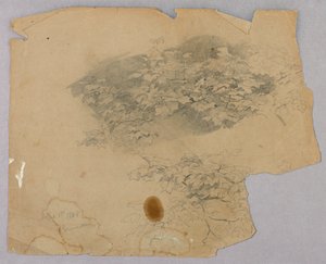 Undersøgelse af løv af William Trost Richards