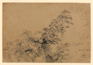 Undersøgelse af løv af William Trost Richards