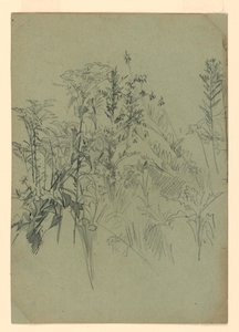 Undersøgelse af løv af William Trost Richards