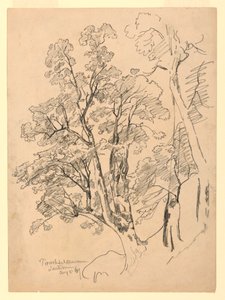 Undersøgelse af løv, Trachselwald, Bern, Schweiz af William Trost Richards