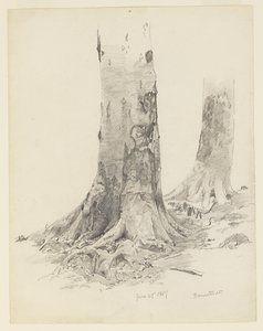 Træstammer, Darmstadt af William Trost Richards