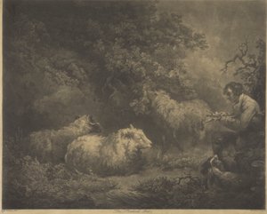 Hyrde-drengen af William Ward