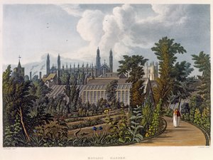 The Botanical Gardens, Cambridge, fra 