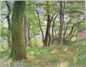 Carmarthenshire eftermiddag af William Wilkins